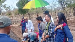 Hortikultura Jadi Motor Ekonomi Desa, Ayub Titu Eki Dorong Kemandirian Petani