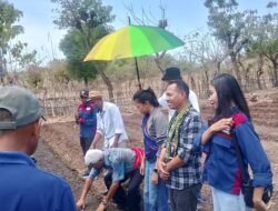 Hortikultura Jadi Motor Ekonomi Desa, Ayub Titu Eki Dorong Kemandirian Petani